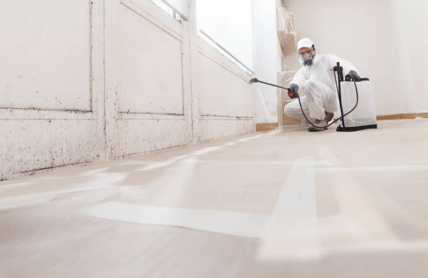 24/7 Emergency Mold Testing experts in Saint Thomas, PA